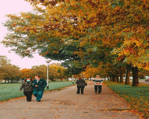 Group of seniors walking in a park for exercise
